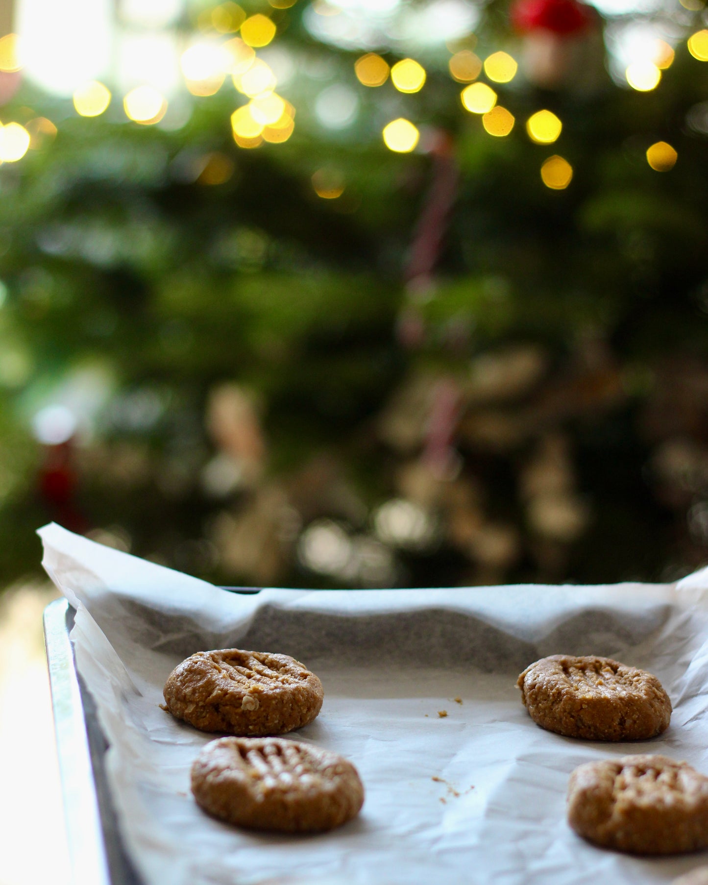 Cosy Christmas Ebook